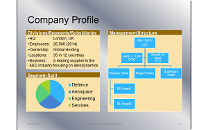 Company Profile Example